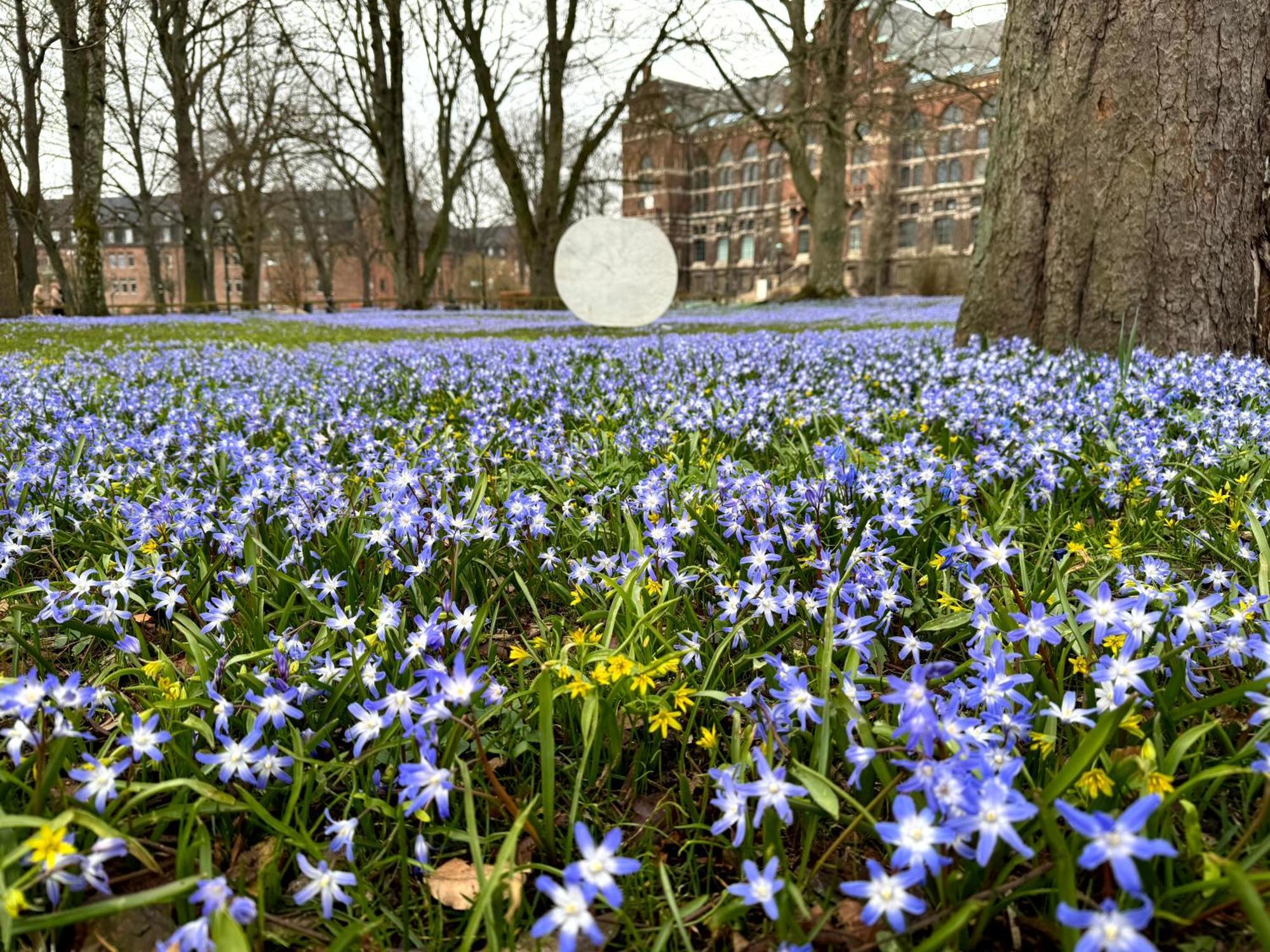The Embassy Lund Exterior foto